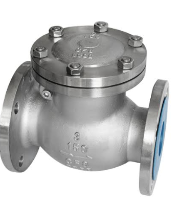 Duplex Swing Check Valve