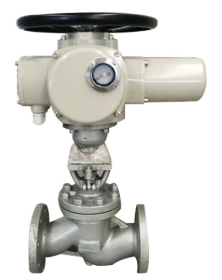 Electric Actuated Globe Valve