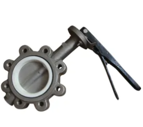 Duplex Lug Type Butterfly Valve